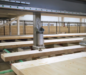 Lamellihirsi valmistetaan innovatiivisella liimausteknologialla